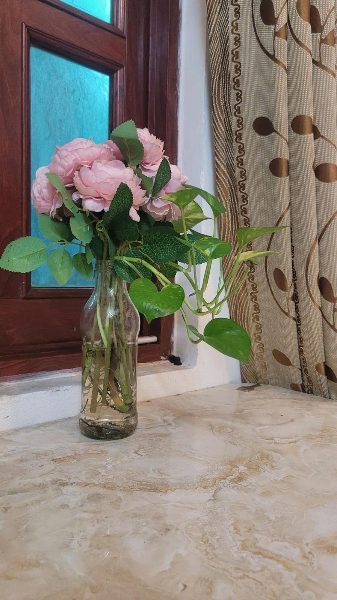 Homestay Fairy'S House Cidade de Ho Chi Minh Exterior foto